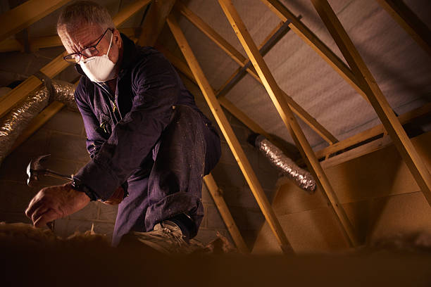 Best Spray Foam Insulation in Untain Grove, MO