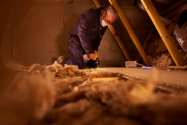 Best Insulation Maintenance and Repair in Untain Grove, MO