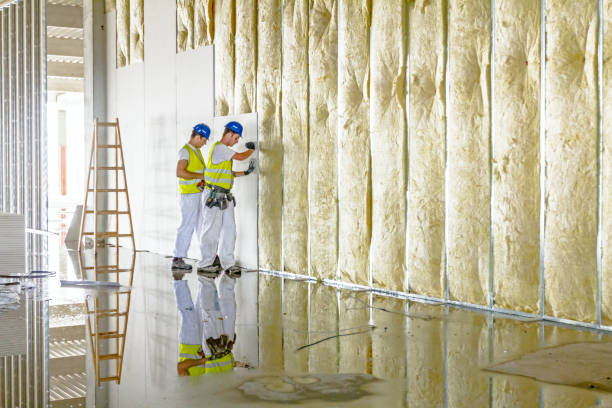 Best Eco-Friendly Insulation in Untain Grove, MO